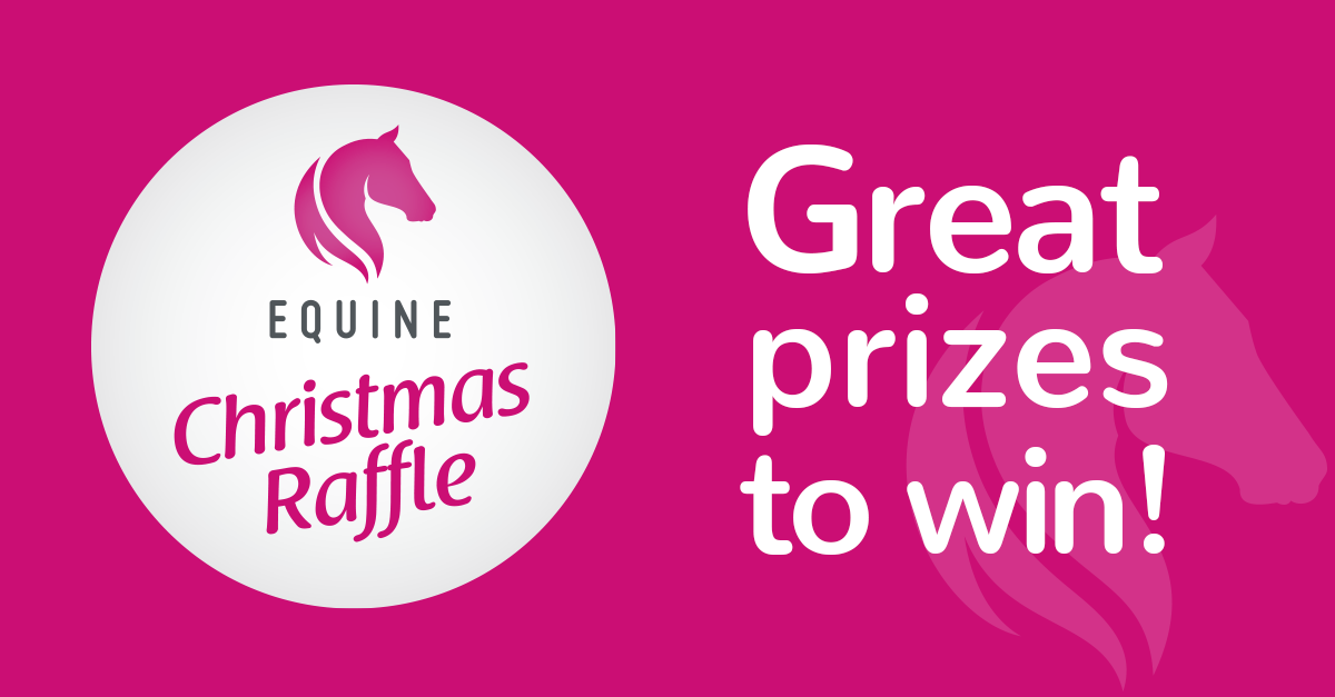Equine Christmas Raffle