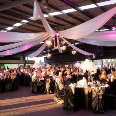Pink Tie Ball 2017